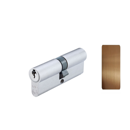 V10 Euro Double Cylinder 100mm Master Keyed